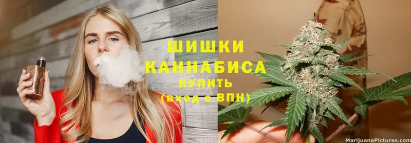 shop какой сайт  МЕГА маркетплейс  Слюдянка  Бошки Шишки LSD WEED 